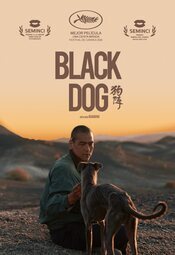 Cartel de Black Dog